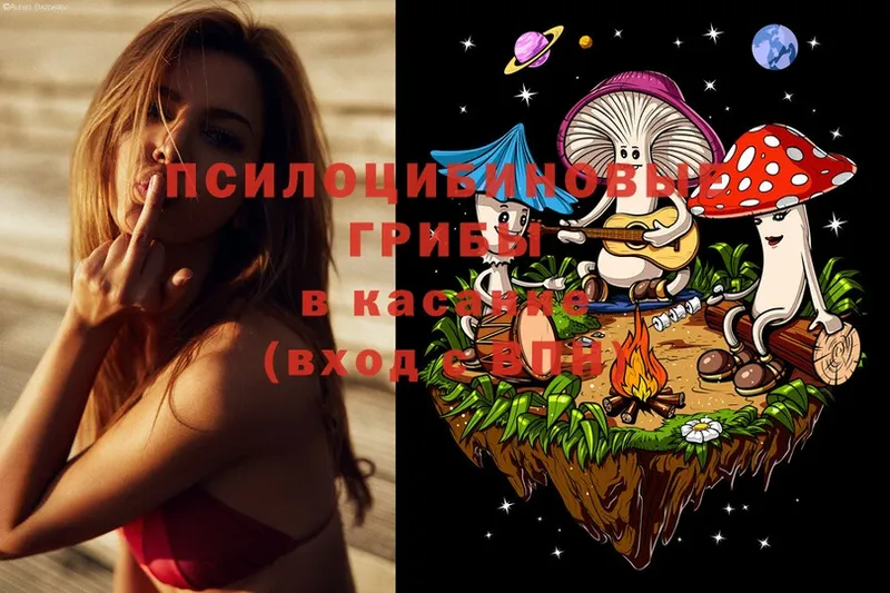 Галлюциногенные грибы Magic Shrooms  Бикин 